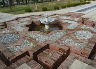 Tepeli Toygar ve Doğa Dostu Girişimler