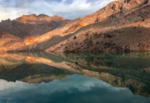 Tevfik Fikretin Âşiyandaki Zevk ve Estetik Anlayışı