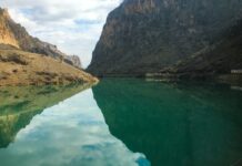 Âşiyanda Sanat ve Ayrıntının Gücü